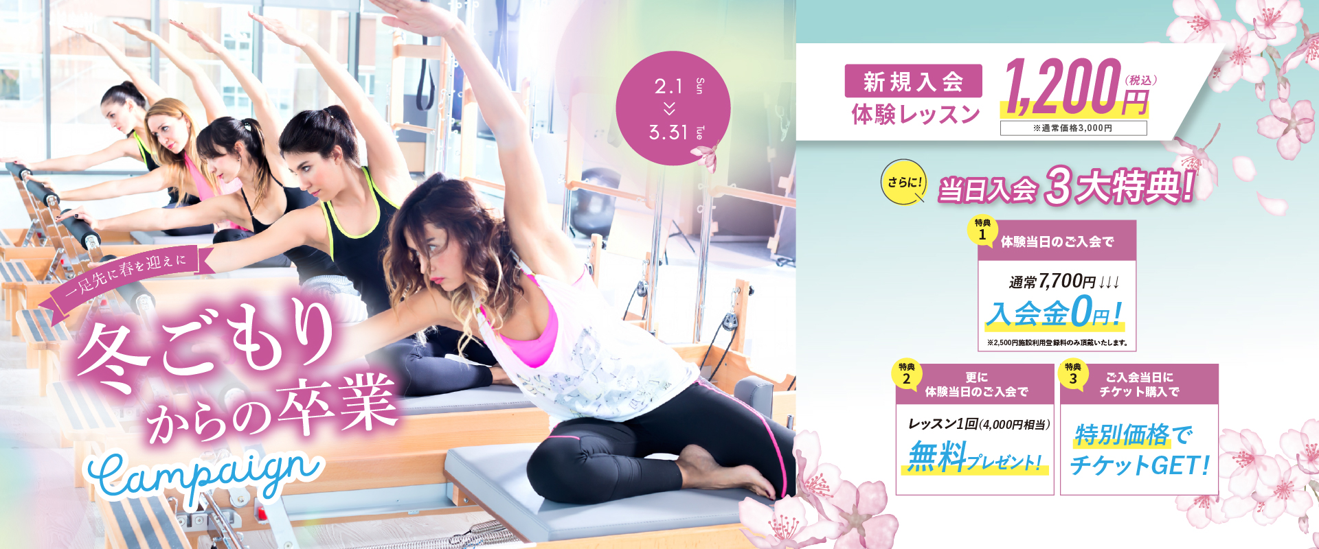 ヴィオラトリコロール  リフォーマーキャンペーン