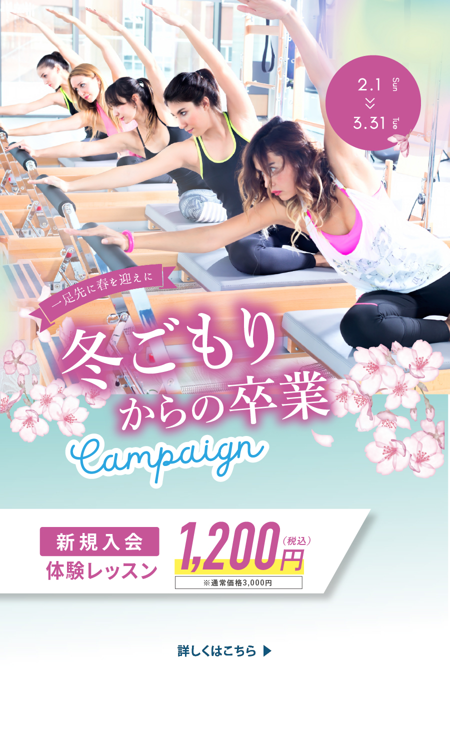 ヴィオラトリコロール リフォーマーキャンペーン