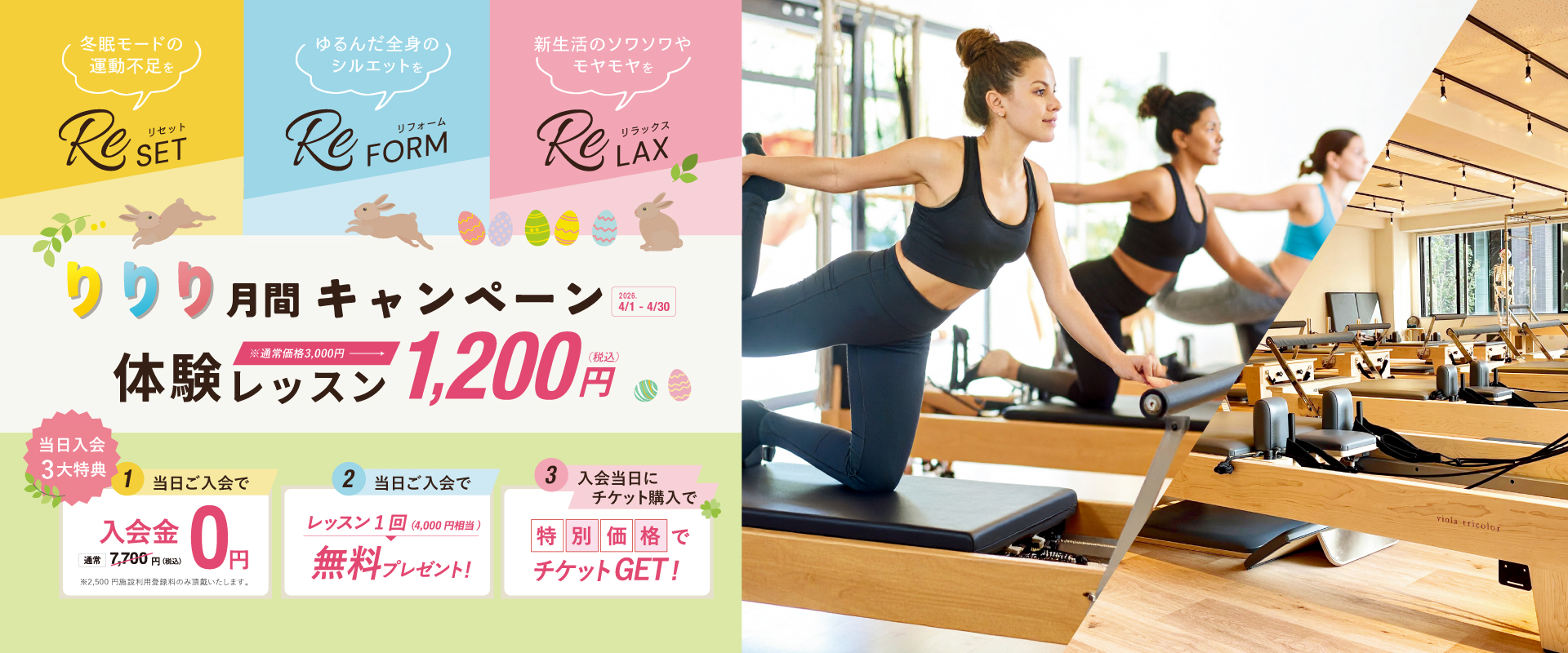 ヴィオラトリコロール  リフォーマーキャンペーン