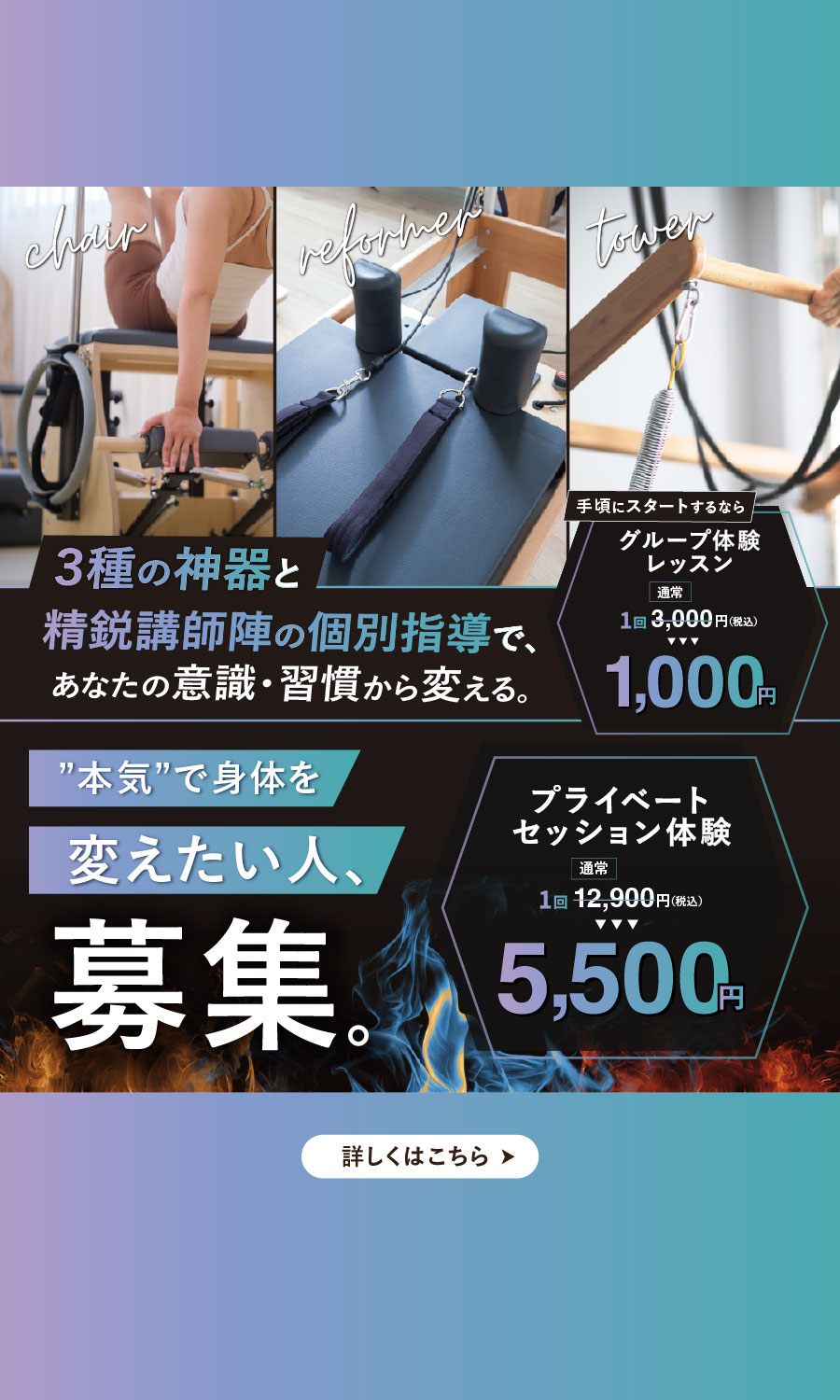ヴィオラトリコロール リフォーマーキャンペーン